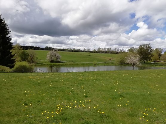 Wolkig in der Höhe - unser Wetterbild kommt heute aus Sophienhof (Foto: W. Jörgens) Wolkig in der Höhe - unser Wetterbild kommt heute aus Sophienhof (Foto: W. Jörgens)