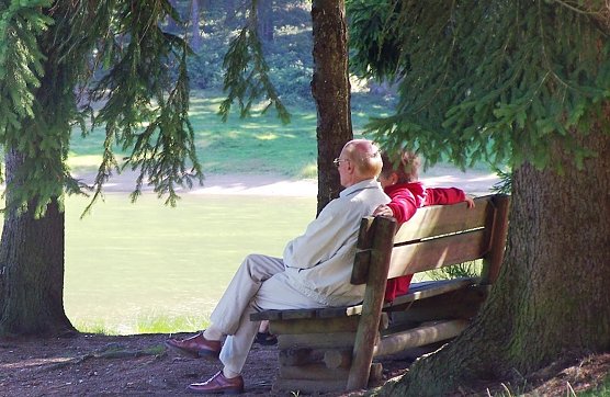 Klimaanlage Wald: Bieten Nadel- oder Laubw&auml;lder dem Waldbesucher die erholsamere Abk&uuml;hlung (Foto: Dr. Horst Spro&szlig;mann Th&uuml;ringen Forst)