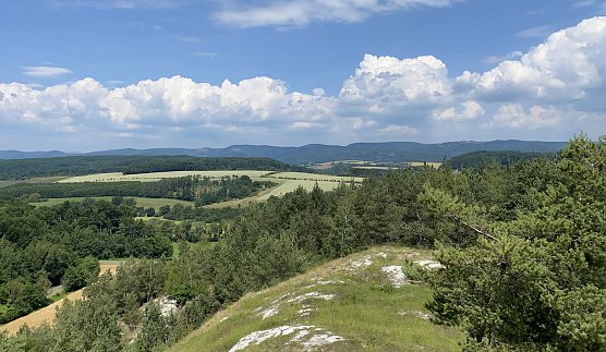 Blick von den H&ouml;rninger Klippen (Foto: oas)