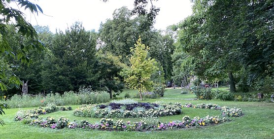 Morgenstimmung im Arboetum Bad Langensalza (Foto: oas)