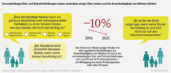 Grafik zur Studie (Foto: DIW)