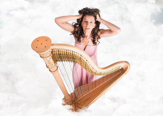 Silke Aichhorn berichtet skurilles aus dem Alltag einer Harfenistin (Foto: Markus Aichhorn) Silke Aichhorn berichtet skurilles aus dem Alltag einer Harfenistin (Foto: Markus Aichhorn)