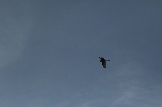 Wetterbild (Foto: agl) Wetterbild (Foto: agl)