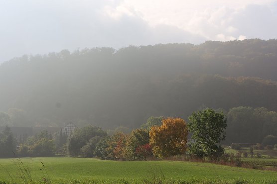 Wetterbild (Foto: agl)