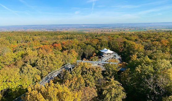 Von 10 bis auf 24 Meter H&ouml;he schl&auml;ngelt sich der Baumkronenpfad durch das herbstliche Bl&auml;tterdach des UNESCO Weltnaturerbes Nationalpark Hainich. (Foto: &copy; KTL Kur und Tourismus Bad Langensalza GmbH)