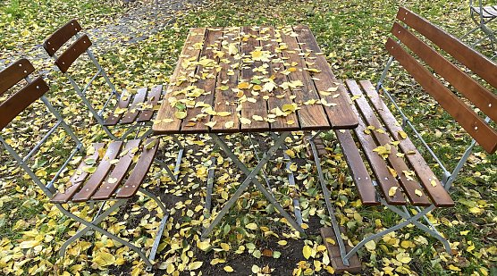 Verwaiste Freifläche (Foto: oas) Verwaiste Freifläche (Foto: oas)