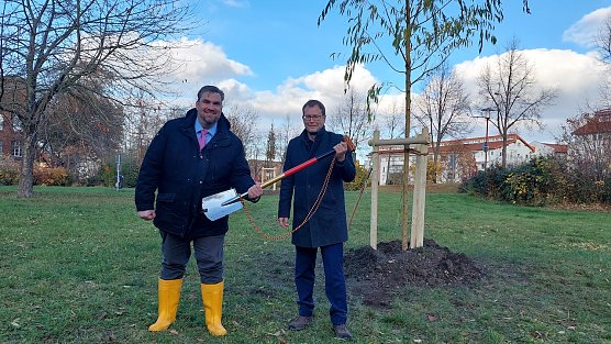 Baumpflanzung St&auml;dtfreundschaft M&uuml;hlhausen Eschwege 2021 (Foto: (c) Anke Pfannstiel )