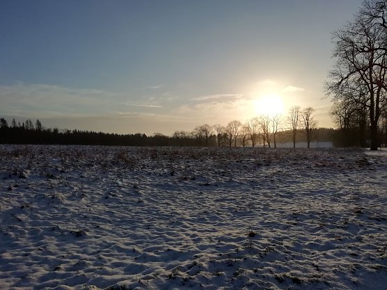 Schnee und Eis heute morgen in Sophienhof (Foto: W. J&ouml;rgens)
