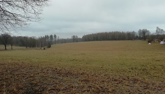 Auch der Hochharz ist bei 2 Grad wieder schneefrei (Foto: W.Jörgens) Auch der Hochharz ist bei 2 Grad wieder schneefrei (Foto: W.Jörgens)