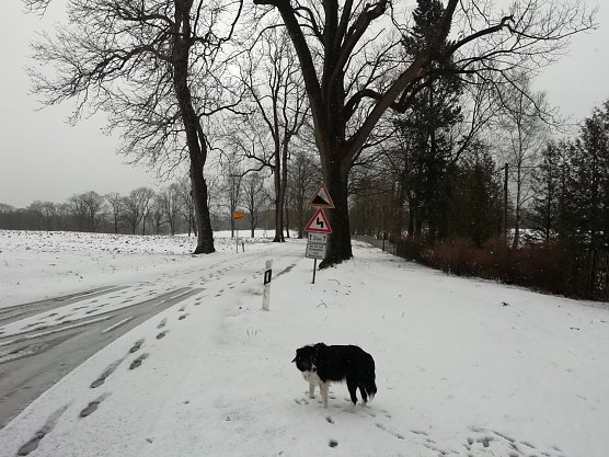 In den Hochlagen bleibt es auch heute ungemütlich (Foto: W. Jörgens) In den Hochlagen bleibt es auch heute ungemütlich (Foto: W. Jörgens)