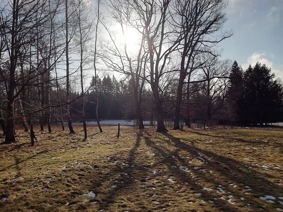 In Sophienhof weicht der Schnee langsam der Sonne (Foto: W. J&ouml;rgens)