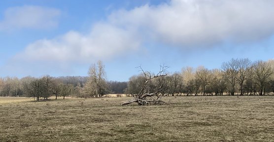 Im Eichsfeld (Foto: oas)