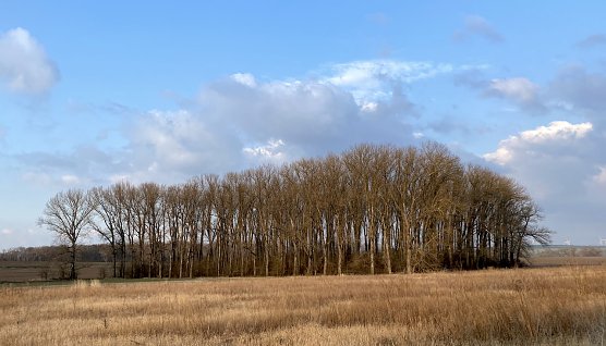 Bei Bad Langensalza (Foto: oas) Bei Bad Langensalza (Foto: oas)