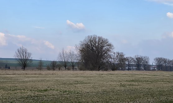 Fr&uuml;hlingshafte Tage, aber kalte N&auml;chte bleiben uns erhalten (Foto: oas)