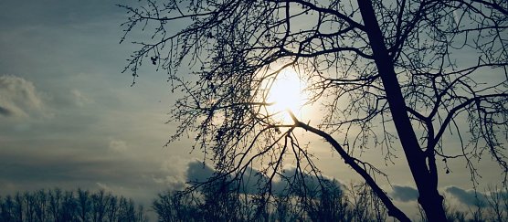 Wetterbild (Foto: agl) Wetterbild (Foto: agl)