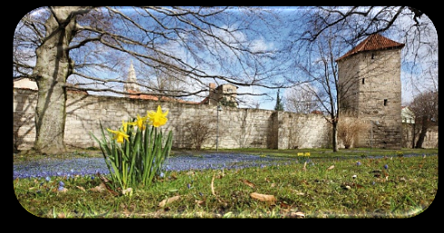 M&uuml;hlhausen  (Foto: Stadtverwaltung M&uuml;hlhausen)