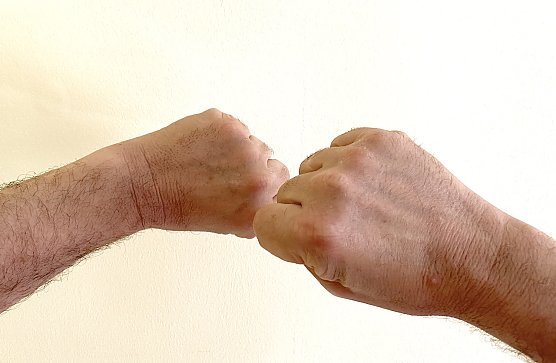 Schl&auml;gerei  (Foto: oas)