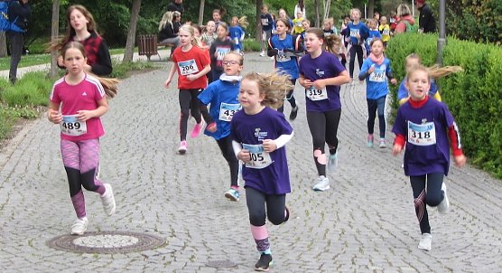 Fotos von der Strecke des 9. Drei-T&uuml;rme-Laufs (Foto: M.Fromm)