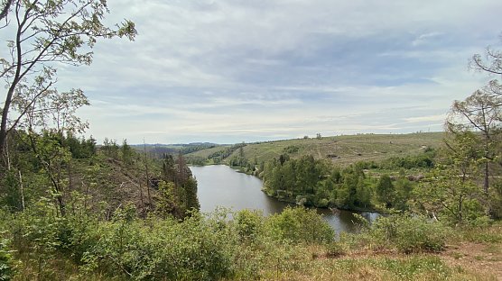 Hoch oben auf dem Harz w&auml;re ein wenig Regen gern gesehen (Foto: vgf)