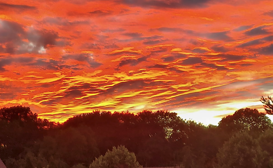 Unser Wetterbild kommt heute aus Hainrode. Gisela M&uuml;ller gelang dieser sch&ouml;ne Schnappschuss vom "Himmel in Flammen" gestern Abend (Foto: G. M&uuml;ller)