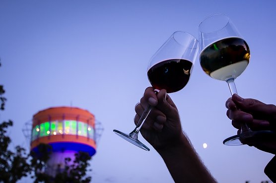 H&ouml;hengenuss auf dem Baumkronenpfad (Foto: KTL Kur und Tourismus Bad Langensalza)