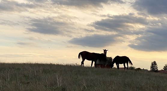 Weiter regnerisch und kühl (Foto: oas) Weiter regnerisch und kühl (Foto: oas)