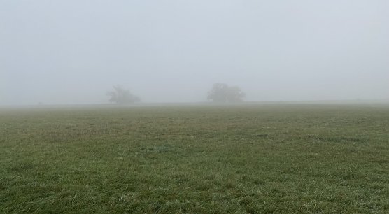 Vielerorts in Th&uuml;ringen nachts und am Morgen neblig (Foto: oas)