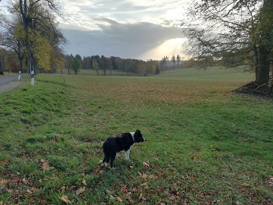 Herbst-Impressionen aus Sophienhof (Foto: W. J&ouml;rgens)