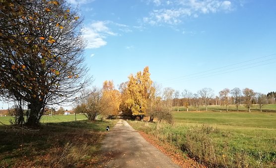 Sophienhof heute unter sch&ouml;nstem Sonnenschein bei morgendlichen Temperaturen von 15 Grad, die zum wandern einladen (Foto: W.J&ouml;rgens)