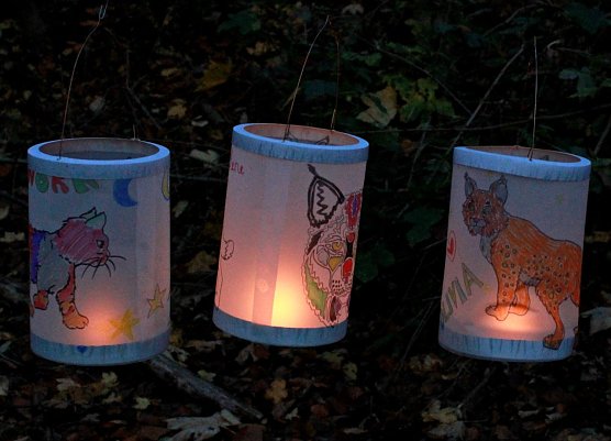 Im Wildkatzendorf werden am Samstag Laternen gebastelt (Foto: Dr. Katrin Vogel)