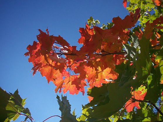 Wetterbild (Foto: wirsinds)