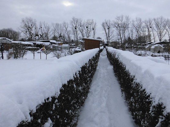 Der Garten im Winter (Foto: W. Schumann)