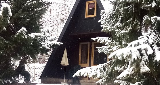 Momentaufnahme im Advent (Foto: Rosalinde Frank)