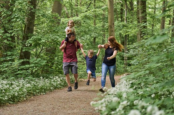 25 Jahre Nationalpark Hainich (Foto: Nationalpark Hainich) 25 Jahre Nationalpark Hainich (Foto: Nationalpark Hainich)