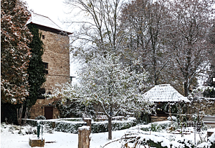 Der Naturgarten des BUND an der Stadtmauer (Foto: BUND)