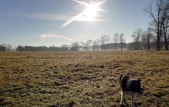 Windstill und sonnig bei -2 Grad pr&auml;sentierte sich heute Morgen Sophienhof (Foto: W.J&ouml;rgens)