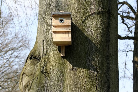 Holznistkasten (Foto: Helge May)
