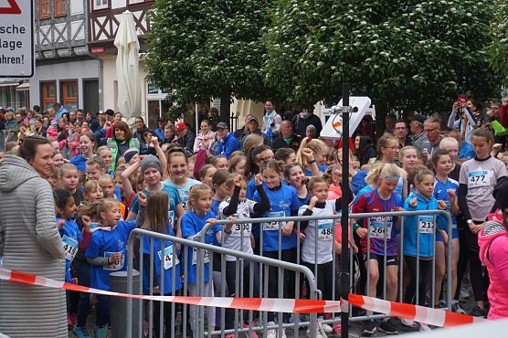 Am letzten Aprilsonntag gehen wieder Hunderte Lauffreunde auf die Strecke  (Foto: SV Empor)
