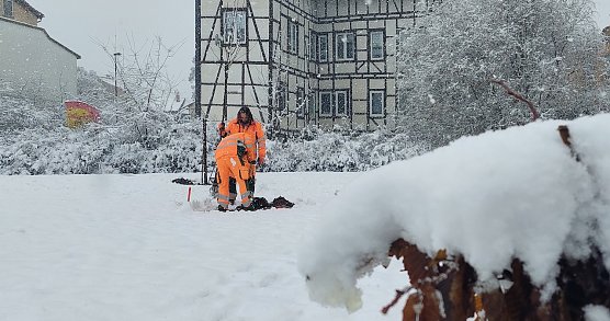 Bei winterlichem M&auml;rz-Wetter wurden der Kirsch- und der Birnbaum im Claes-Park gepflanzt. (Foto: &copy; Stadt M&uuml;hlhausen)