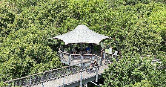 Der Baumkronenpfad passt seine &Ouml;ffnungszeiten an (Foto: uhz)