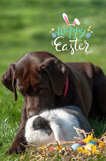 Zwei gute Freunde (Foto: T. Scholz) Zwei gute Freunde (Foto: T. Scholz)