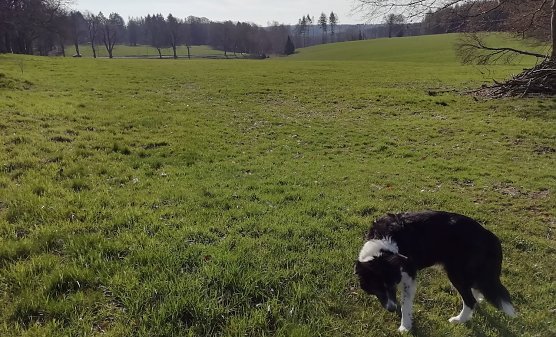 Sonnig, windstill und 5 Grad meldete Sophienhof heute morgen (Foto: W.Jörgens) Sonnig, windstill und 5 Grad meldete Sophienhof heute morgen (Foto: W.Jörgens)