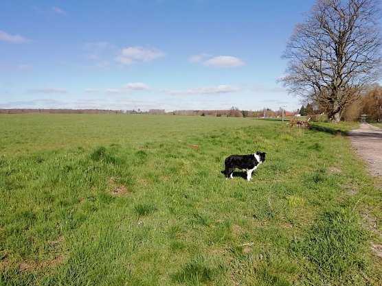 Klarer Himmel &uuml;ber Sophienhof heute morgen, mit einem Grad war es aber immer noch frisch (Foto: W. J&ouml;rgens)