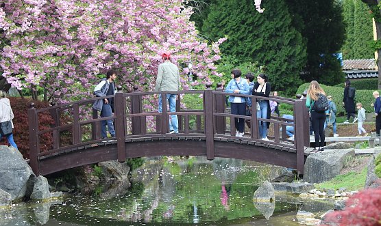 Besucherandrang im vergangenen Jahr beim Kodomo No Hi (Foto: E.M. Wiegand) Besucherandrang im vergangenen Jahr beim Kodomo No Hi (Foto: E.M. Wiegand)