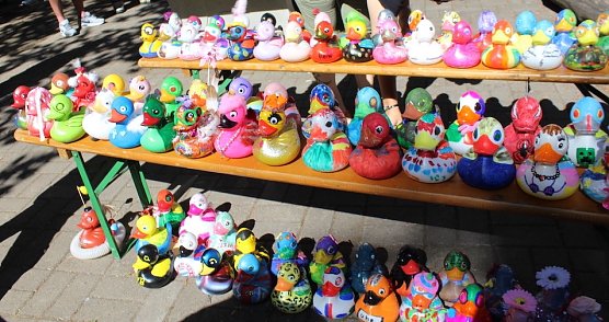 Das Starterfeld des letzten Jahres. In der unteren Reihe sehen Sie auch die orangene uhz-Ente, die einen Preis nur knapp um wenige hundert Pl&auml;tze verfehlte (Foto: uhz-Arhiv)