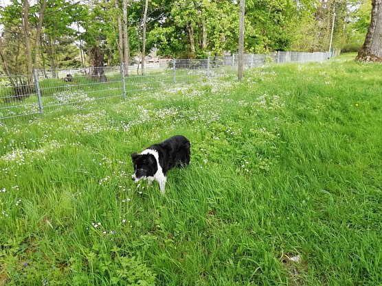 16 Grad, Sonne und leichter Wind in Sophienhof (Foto: W. J&ouml;rgens)