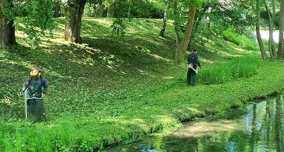 Letzte Vorbereitungen an der Rennstrecke: Das Salza-Ufer wird zur Trib&uuml;ne (Foto: G.Haase)