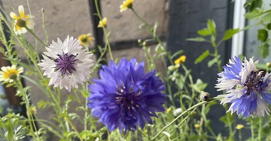 Zur&uuml;ckgehende Temperaturen nach Gewittern am Montag (Foto: emw)