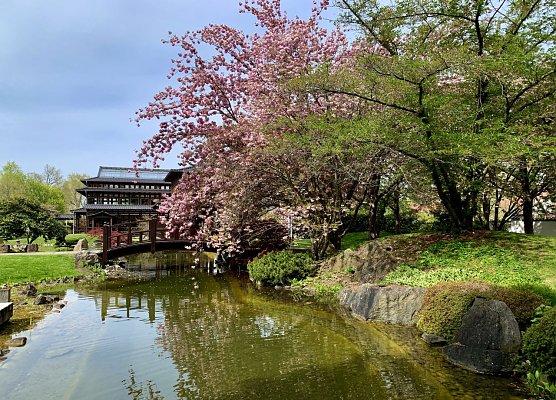 Japanischer Garten in Bad Langensalza (Foto: Eva Maria WIegand)