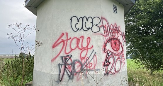 Auch am Badew&auml;ldchen tobten sich Schmierfinken aus (Foto: oas)